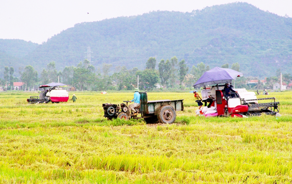 Sản xuất thông minh hơn giúp nông dân, HTX ở Nghệ An giàu hơn.