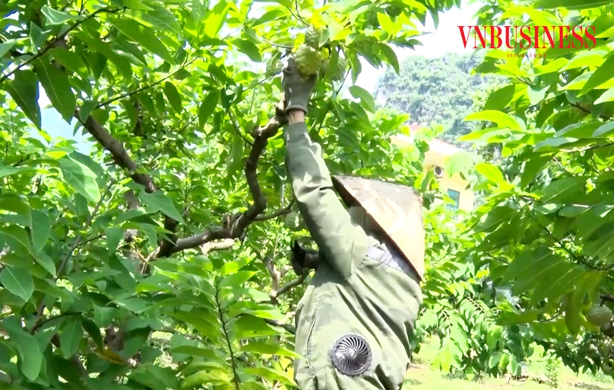 Lạng Sơn đang có nhiều sản phẩm OCOP thế mạnh.