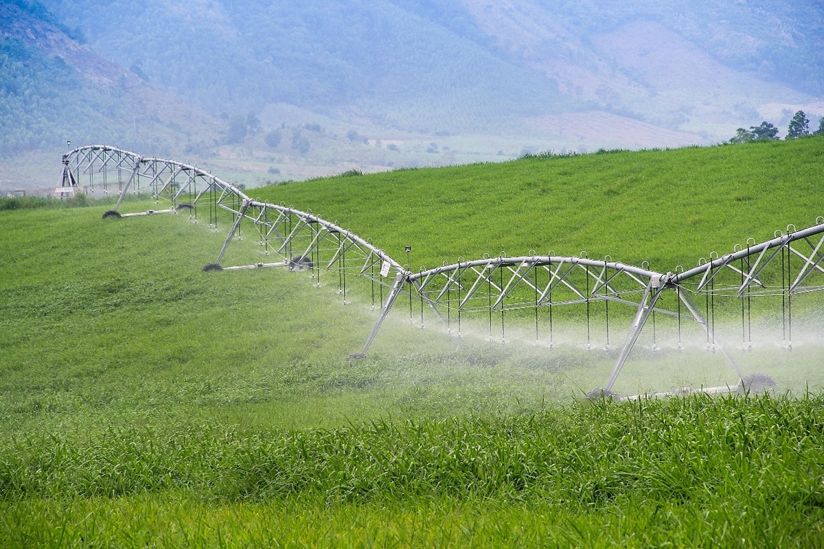 BAC A BANK đã xác định trở thành ngân hàng đóng vai trò “bà đỡ” cho các dự án nông nghiệp ứng dụng công nghệ cao.