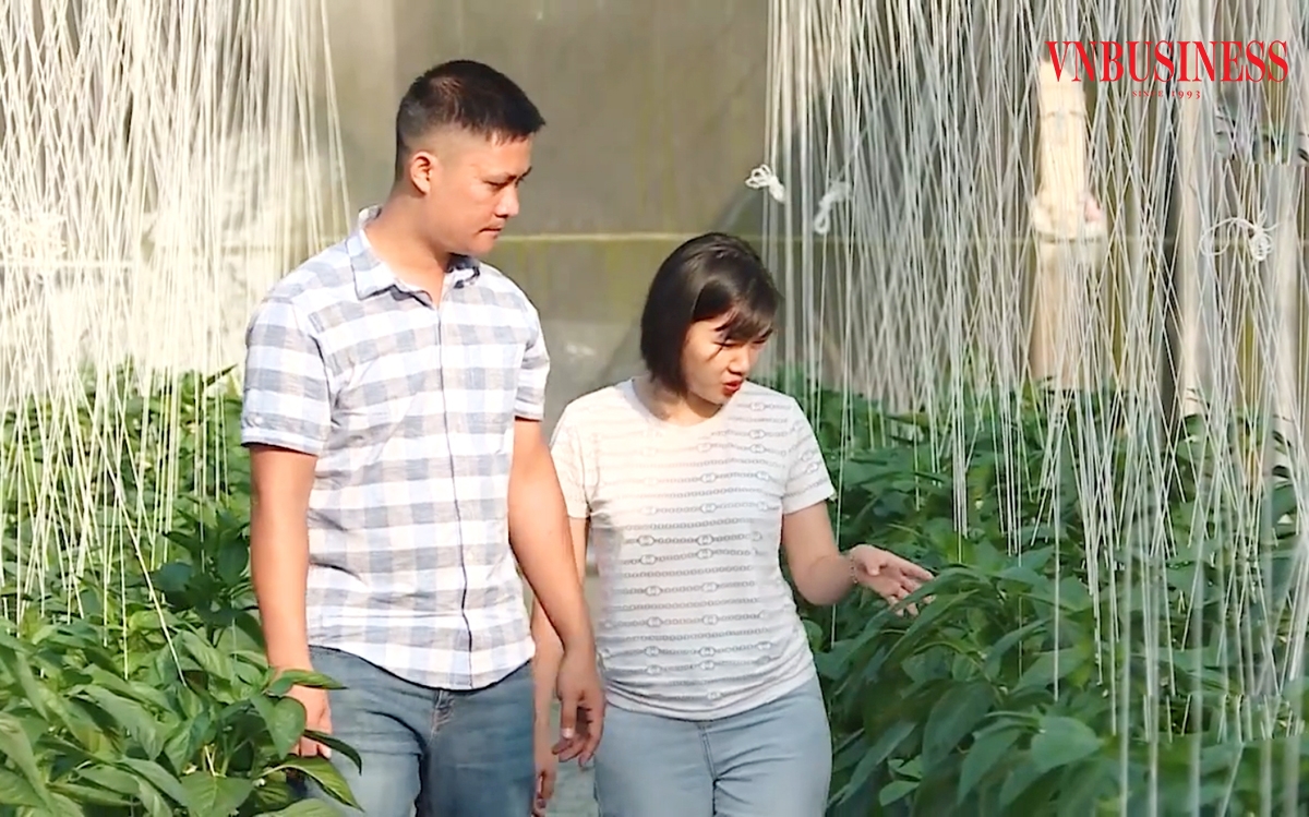 HTX là một trong những điểm tựa giúp nông dân Tuyên Quang thoát nghèo.