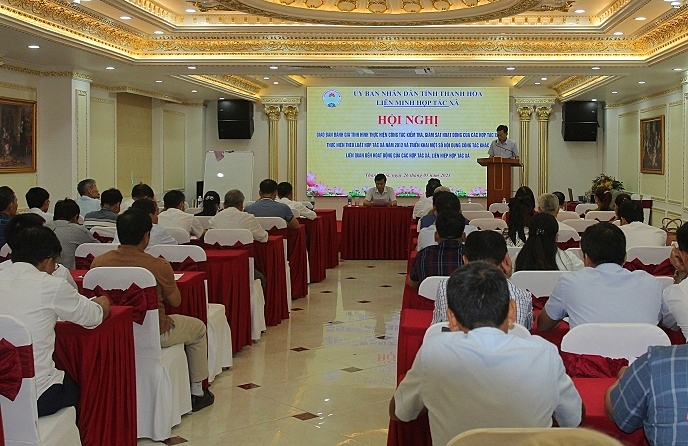 Các lớp tập huấn giúp cán bộ HTX ở vùng đồng bào dân tộc thiểu số nâng cao năng lực quản lý.