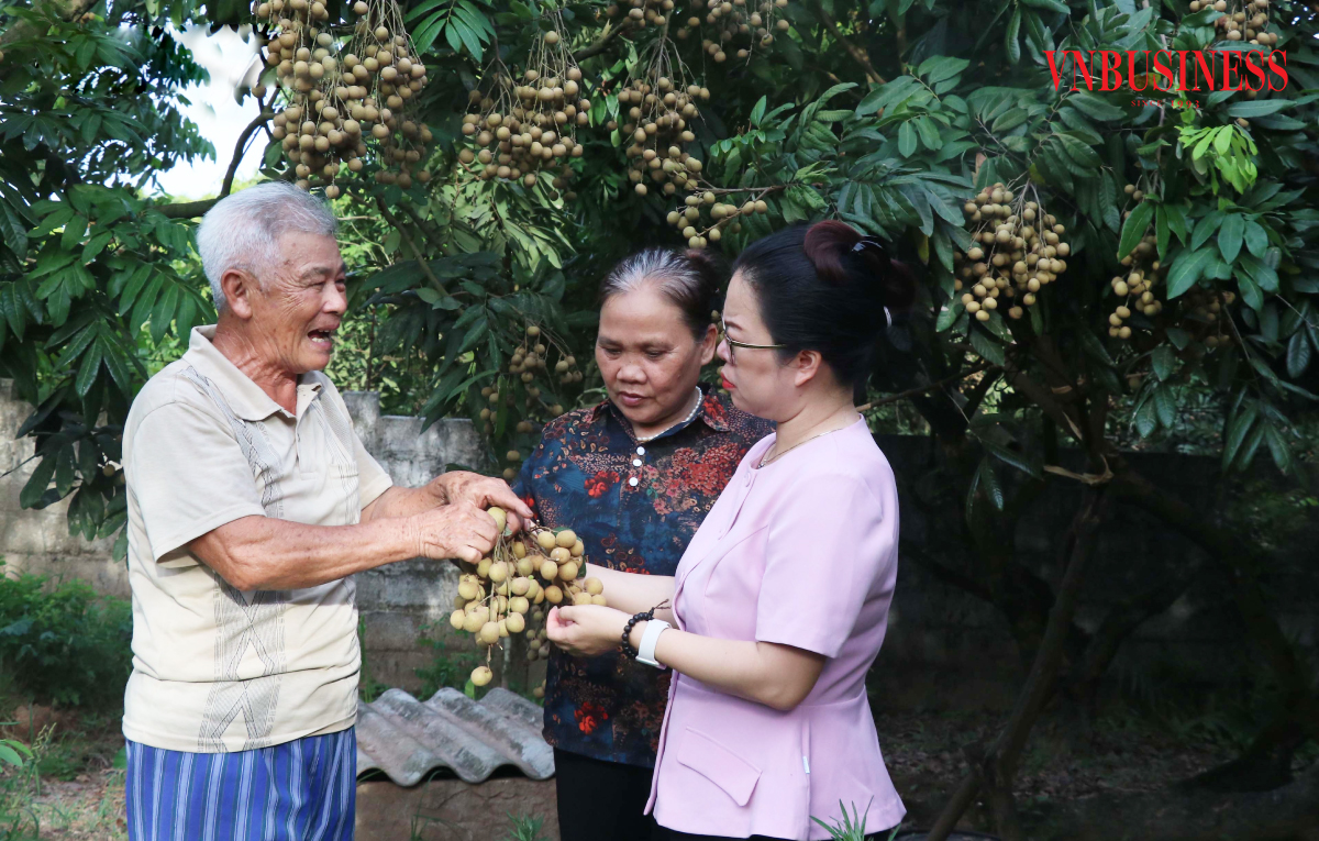 Hưng Yên đang có nhiều sản phẩm đặc trưng thế mạnh.