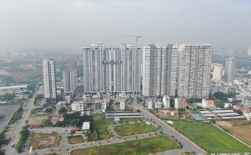 Vạn Phát Hưng thông qua việc tạm hoãn chi trả cổ tức năm 2024.