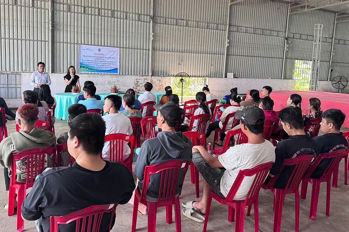 Trung tâm Xúc tiến Thương mại và Đầu tư &lpar;Liên minh HTX Việt Nam&rpar; tổ chức tập huấn cho HTX, người dân.