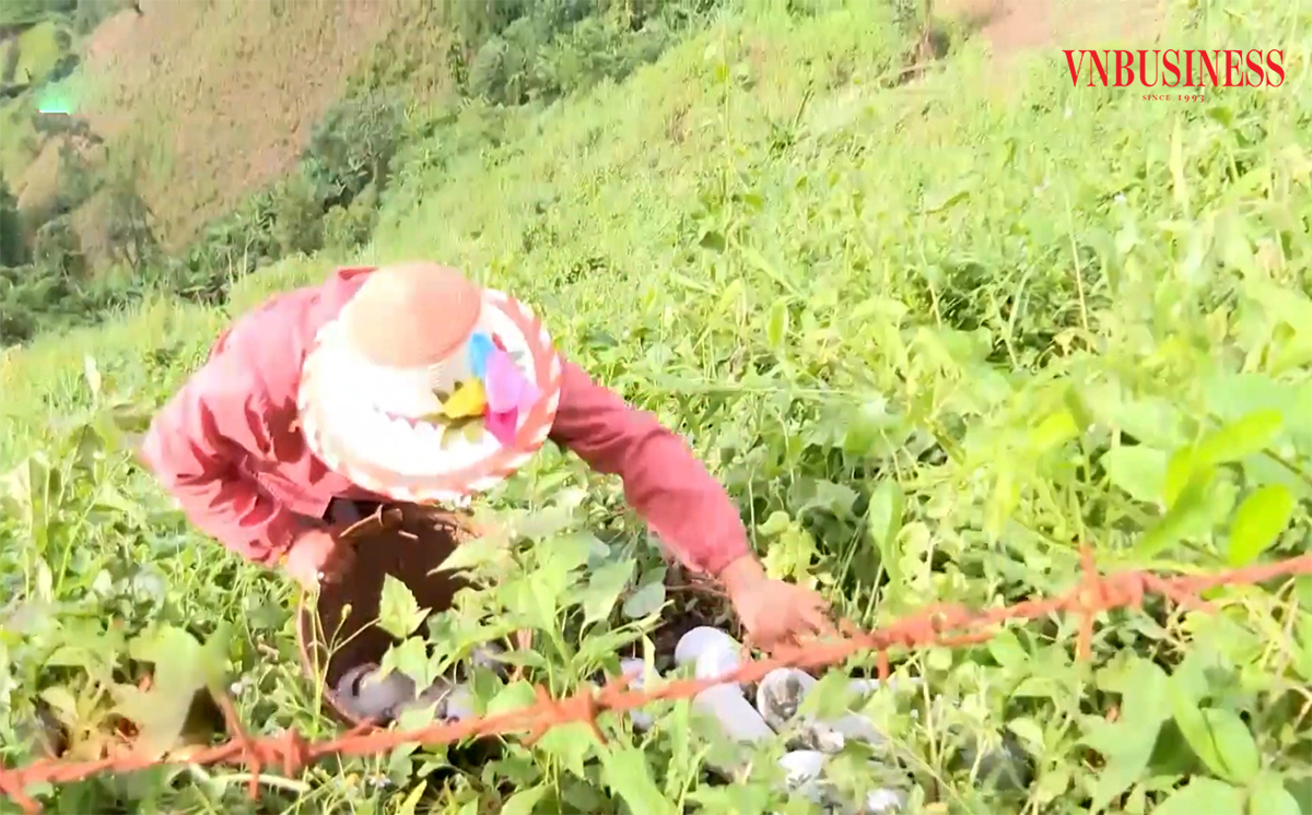 Bức tranh sáng trong hành trình xóa đói giảm nghèo bền vững ở Điện Biên