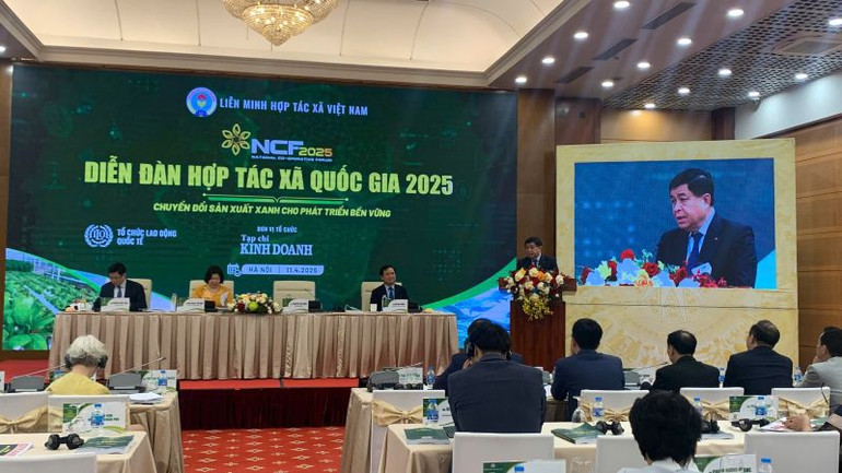 Phó Thủ tướng Chính phủ Nguyễn Chí Dũng phát biểu tại Diễn đàn Hợp tác xã quốc gia 2025.