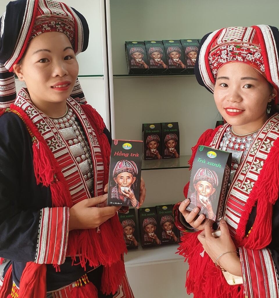 Chè của HTX Phìn Hồ đã được đăng ký sở hữu trí tuệ.