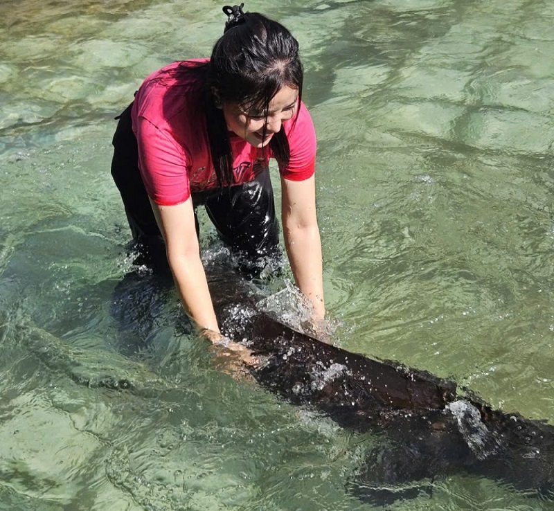 Khách tham quan sẽ được trực tiếp chiêm ngưỡng, tham gia trả giá và có cơ hội sở hữu cá tầm Siberi nặng 50kg, hiện là con cá tầm lớn nhất trong các trang trại nuôi cá tại Lai Châu.
