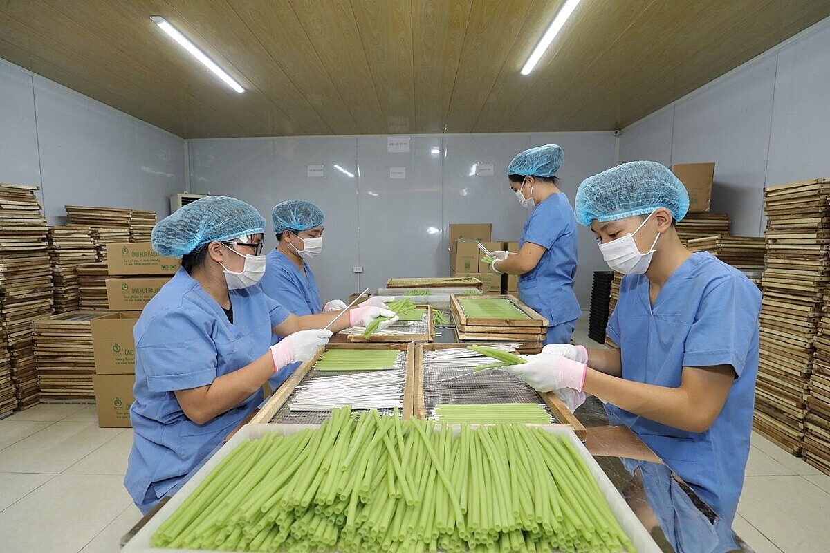 Ống hút rau củ quả của HTX tiêu thụ trong nước chỉ tập trung vào một số khách sạn, chưa phổ biến với người tiêu dùng.