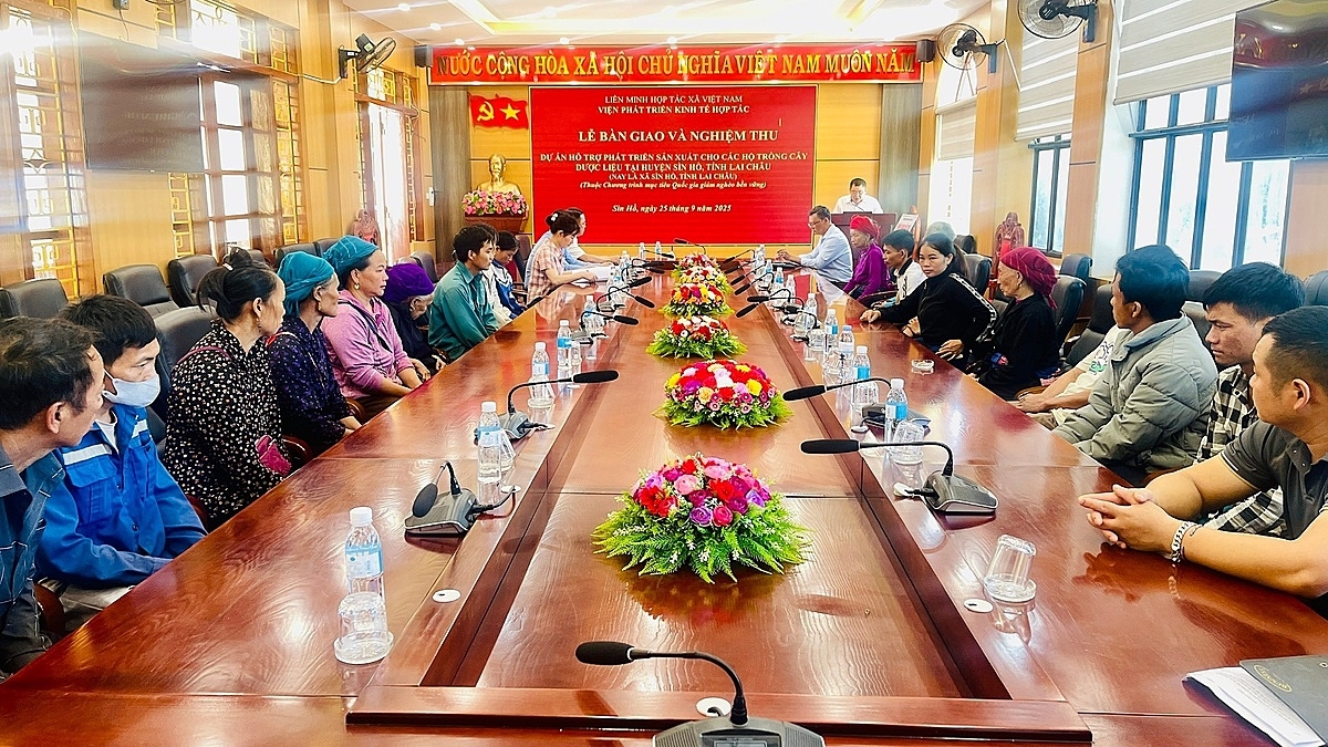 Viện Phát triển Kinh tế Hợp tác tập huấn, hướng dẫn người dân trồng dược liệu.