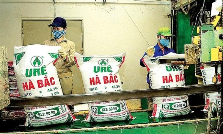 Đạm Hà Bắc lỗ gần 100 tỷ trong quý III, nợ phải trả gấp 8,5 lần vốn chủ sở hữu