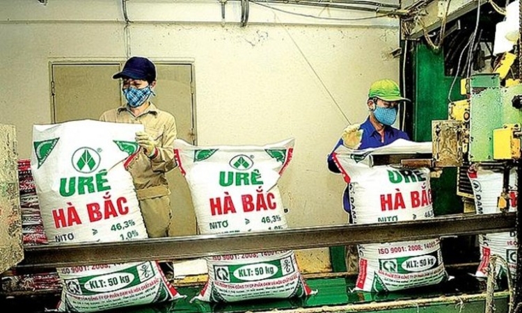 Đạm Hà Bắc lỗ gần 100 tỷ trong quý III, nợ phải trả gấp 8,5 lần vốn chủ sở hữu