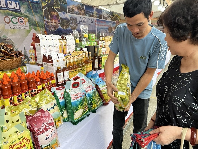 Chiến lược phát triển thị trường bán lẻ Việt Nam đến năm 2030, tầm nhìn đến năm 2050 khuyến khích các doanh nghiệp nhỏ, hợp tác xã thương mại, hộ kinh doanh cá thể hình thành các chuỗi liên kết đơn ngành hoặc đa ngành.