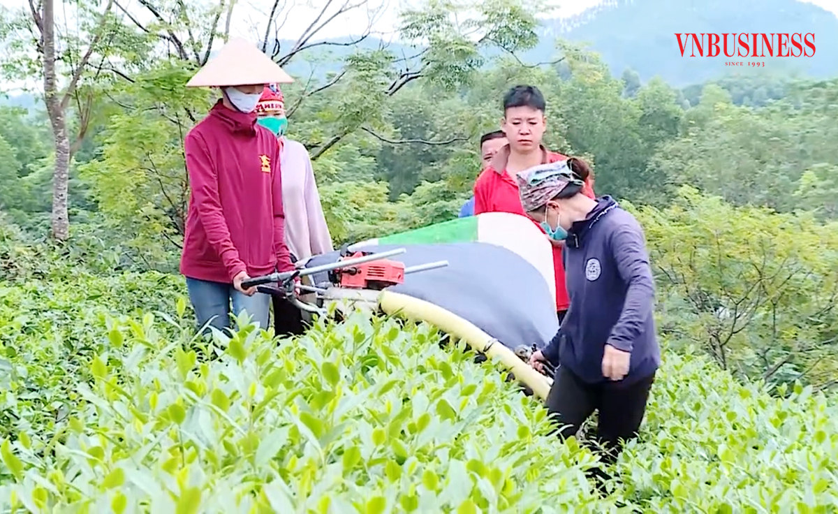 Liên kết thành lập HTX giúp nông dân thoát nghèo, làm giàu bền vững.