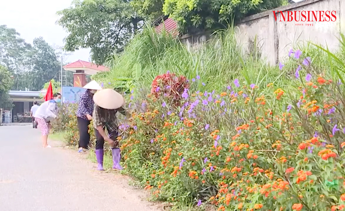 Nông thôn mới Phú Thọ ngày càng khởi sắc.
