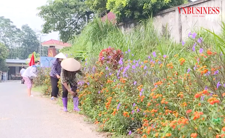 Nông thôn mới Phú Thọ ngày càng khởi sắc.