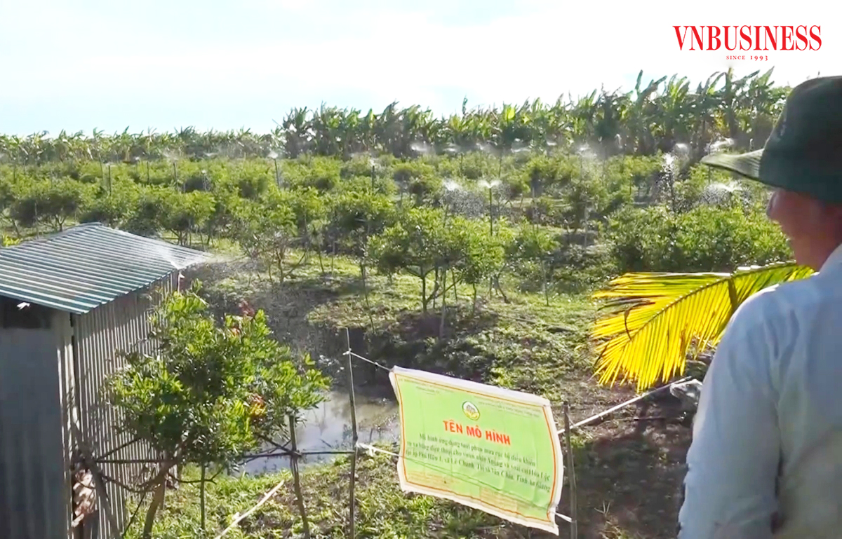 Ứng dụng công nghệ vào sản xuất là chìa khóa nâng cao giá trị sản xuất của nông dân, HTX ở An Giang.