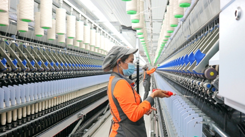 Biên lợi nhuận gộp cao nhất trong hơn một thập kỷ không cứu nổi lợi nhuận ròng Sợi Thế Kỷ giảm sâu