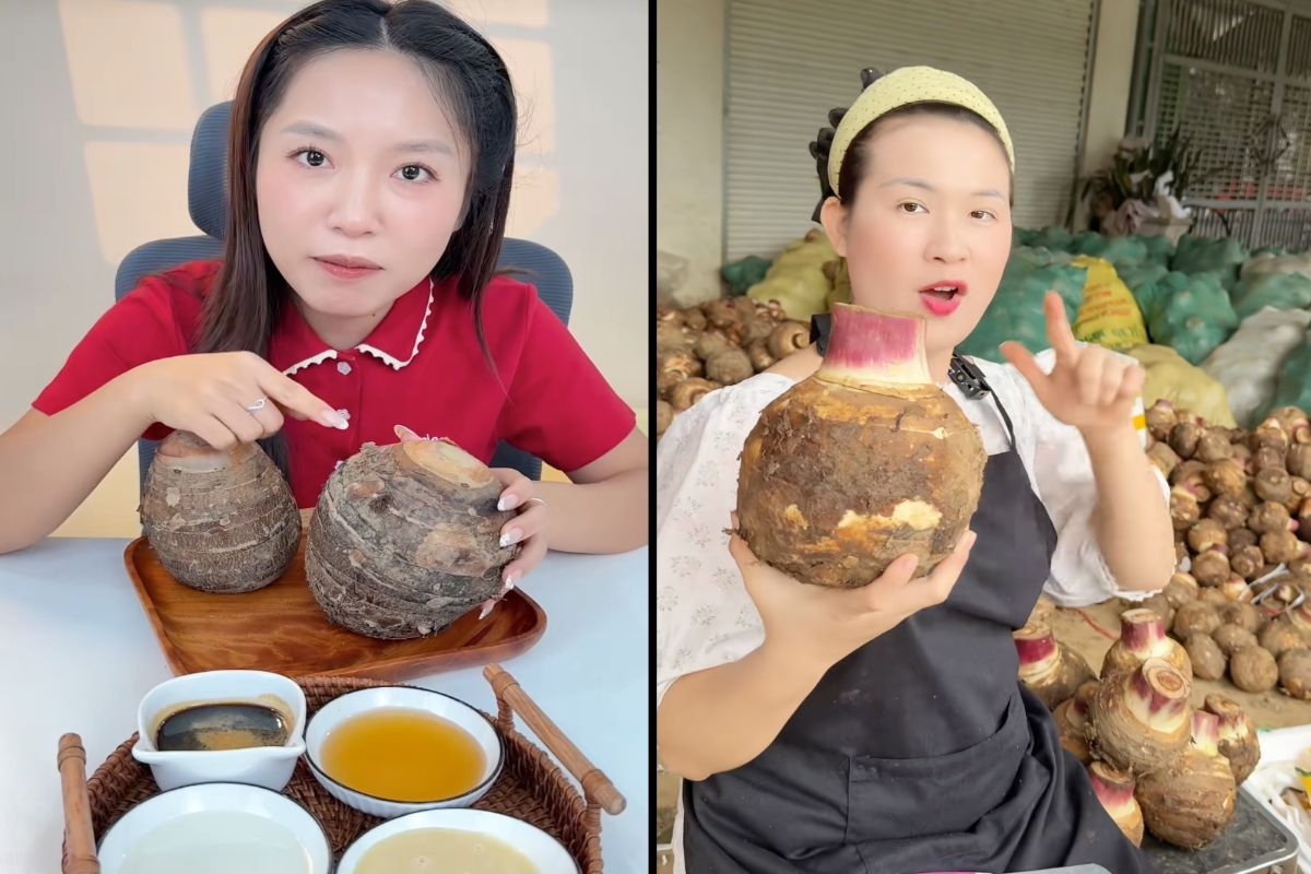 Khoai môn lệ phố - nông sản vùng cao đang được nhiều bà nội trợ săn lùng.