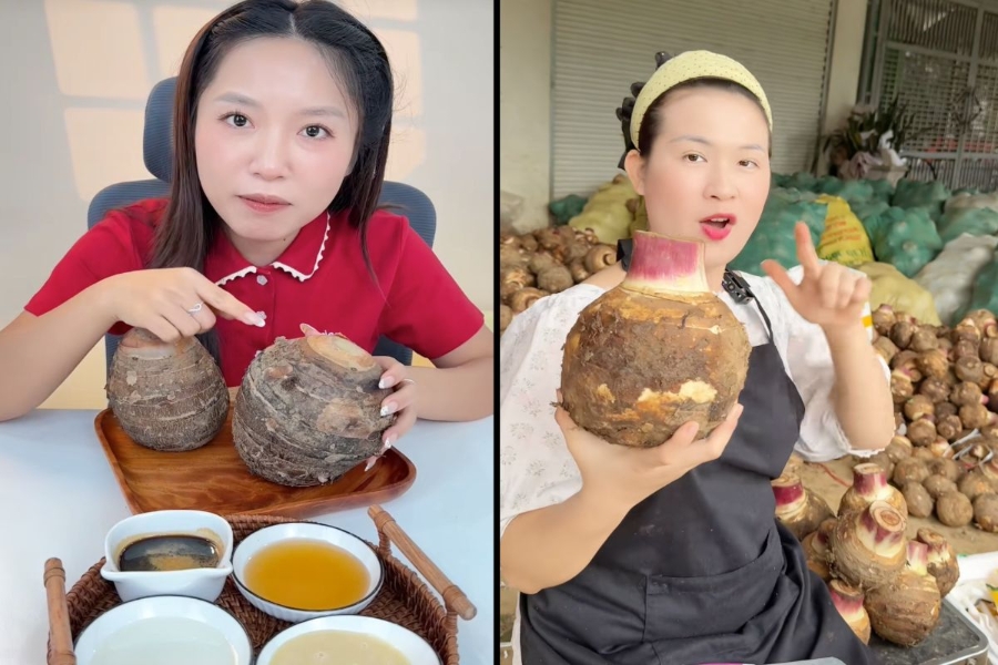 Khoai môn lệ phố - nông sản vùng cao đang được nhiều bà nội trợ săn lùng.