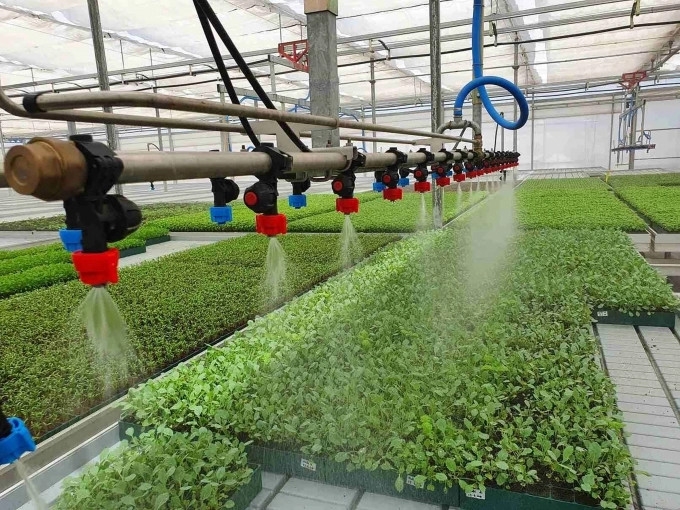 HTX cần được tăng cường đào tạo, nâng cao năng lực chuyển đổi số.