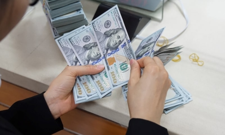 Tỷ suất sinh lời hấp dẫn từ nhiều kênh đầu tư thu hút kiều hối về Việt Nam