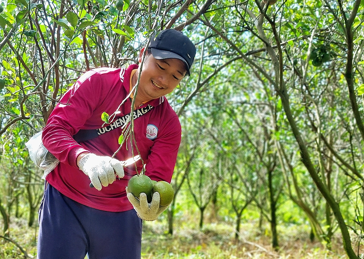 HTX bán giá trị chứ không bán giá rẻ nhờ sức mạnh của nền tảng số.