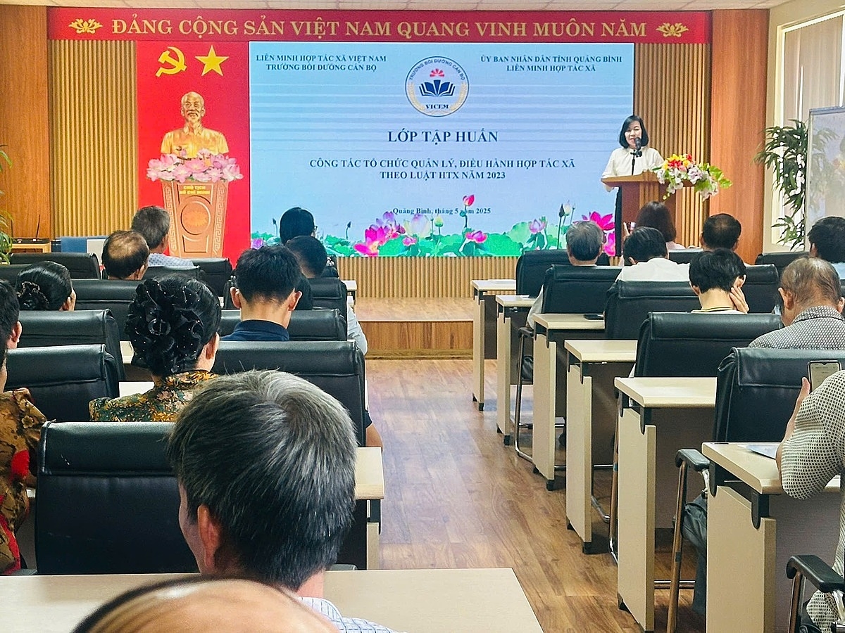 Tập huấn nâng cao năng lực cho HTX.