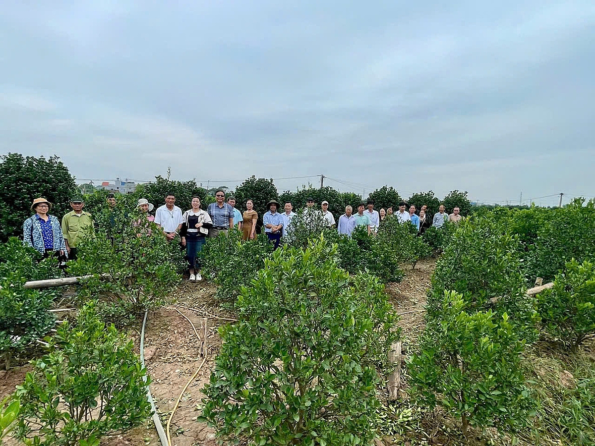 Học viên lớp nghề hoa, cây cảnh đi học tập kinh nghiệm thực tế tại làng nghề Nam Toàn &lpar;tỉnh Ninh Bình&rpar;.