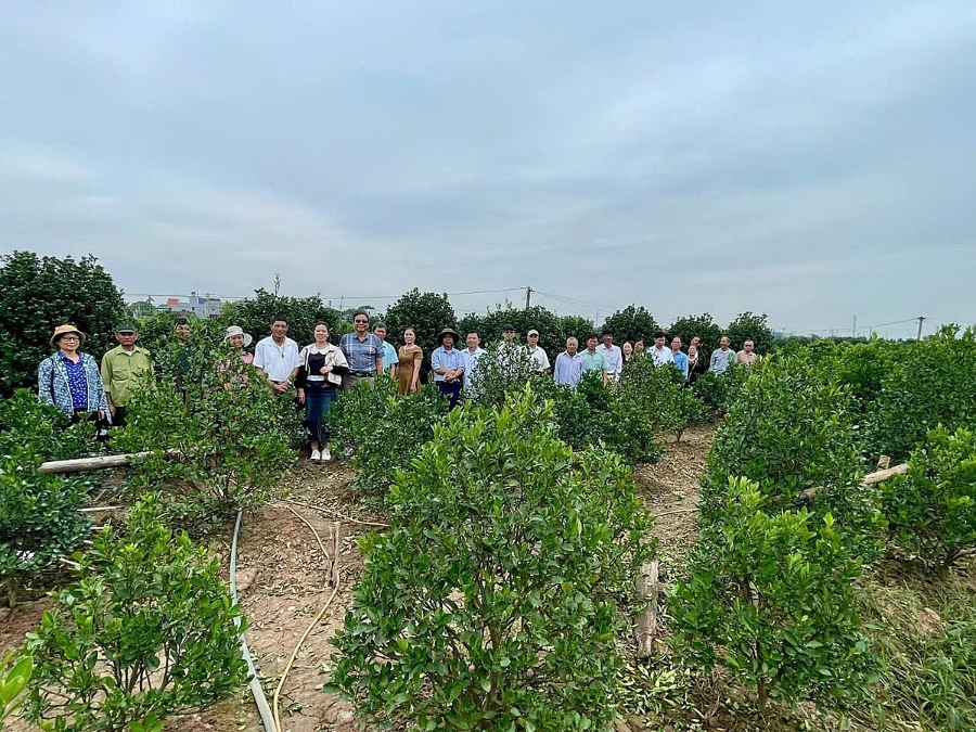 Học viên lớp nghề hoa, cây cảnh đi học tập kinh nghiệm thực tế tại làng nghề Nam Toàn &lpar;tỉnh Ninh Bình&rpar;.