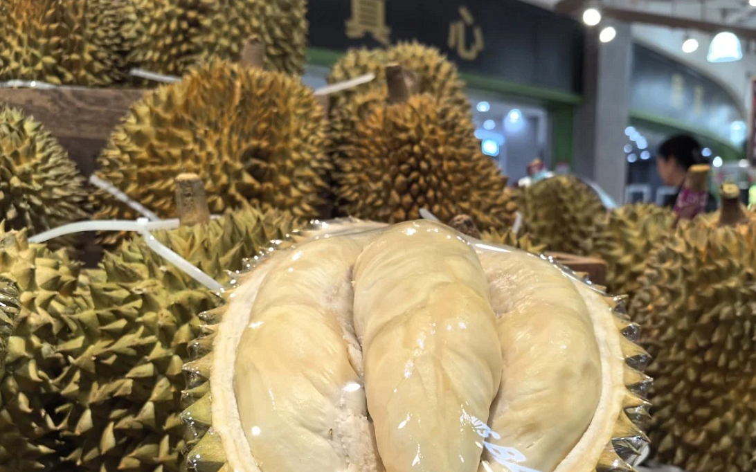 Chỉ cần một quả sầu riêng vi phạm tiêu chuẩn vệ sinh, doanh nghiệp có thể mất hợp đồng trị giá hàng tỷ đồng.