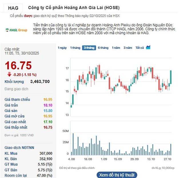 Cổ phiếu của HAGL nhanh chóng 'hạ nhiệt'