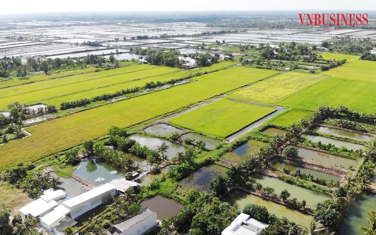 Nông thôn mới ở Cà Mau ngày càng khởi sắc.