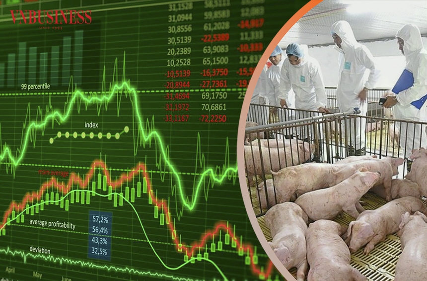 Doanh nghiệp lớn trong ngành chăn nuôi lợn hoặc phân phối các sản phẩm từ lợn báo lãi tăng trưởng đột biến.