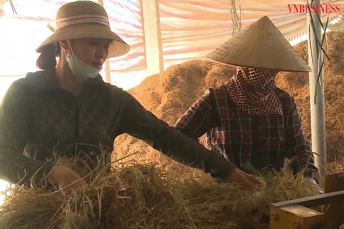 Vòng tuần hoàn nông sản đóng góp tích cực vào kinh tế - môi trường khu vực nông thôn Ninh Bình.