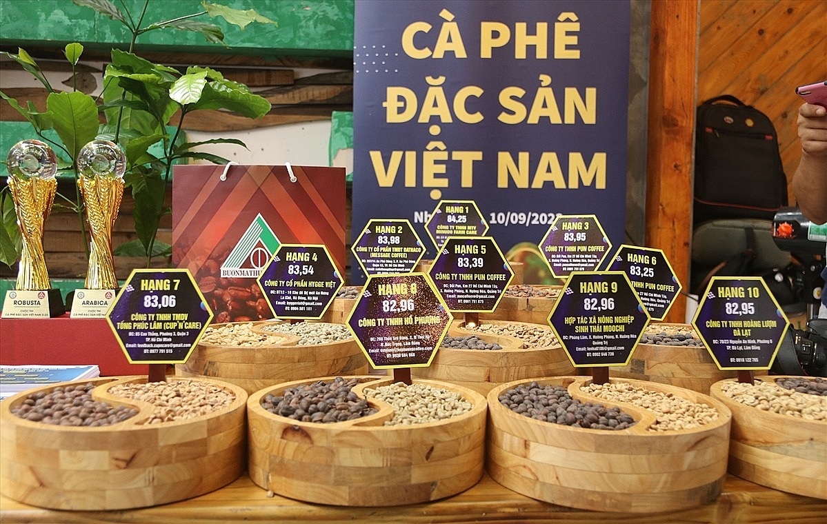 Đã có những HTX, doanh nghiệp đầu tư vào cà phê đặc sản.