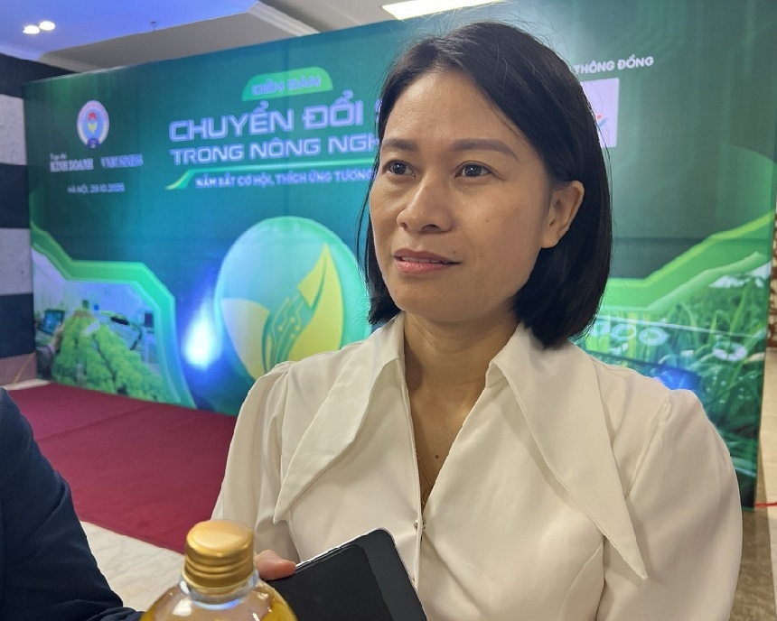 Bà Phùng Thị Xuân - đại diện HTX Nông nghiệp và Sản xuất Khánh Lâm &lpar;xã Vật Lại, Thành phố Hà Nội&rpar; trao đổi với Vnbusiness về những khó khăn khi HTX tiếp cận chính sách đất đai.