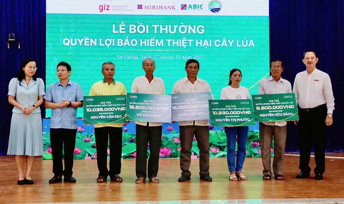 ABIC Kiên Giang chi trả quyền lợi bảo hiểm thiệt hại cây lúa cho các hộ dân tại xã An Phú, tỉnh An Giang.