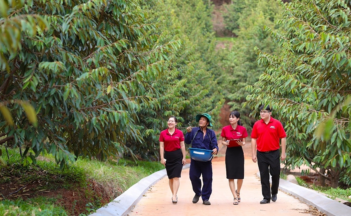 Agribank thực hiện nhiều gói tín dụng xanh nhằm tăng cường nguồn vốn cho người dân và danh nghiệp.