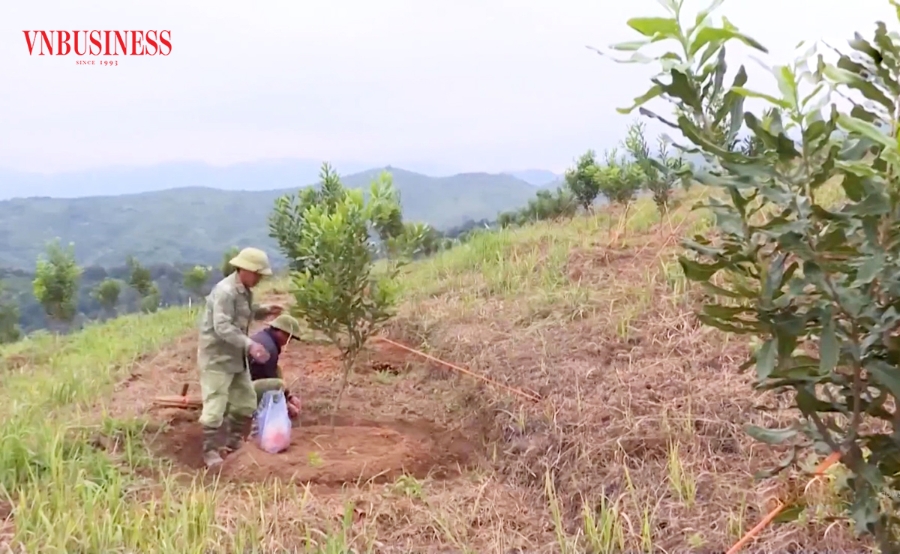 Tư duy sản xuất mới giúp HTX, nông dân Điện Biên tăng thu nhập.