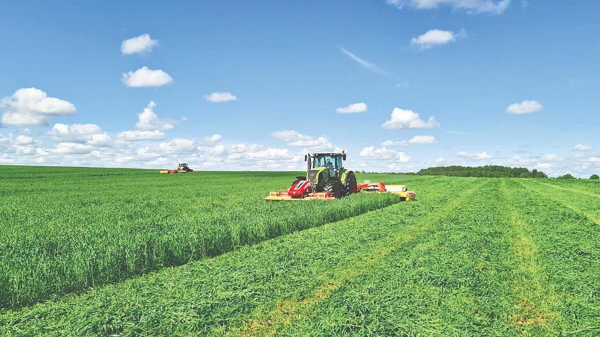 Những cánh đồng nguyên liệu thức ăn cho bò sữa của Tập đoàn TH đã phủ xanh nhiều mảnh đất hoang hóa tại các tỉnh của Nga.