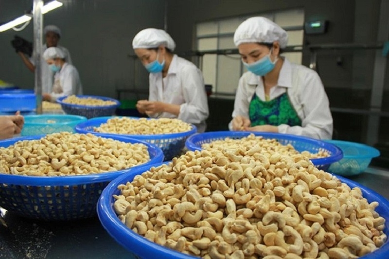 Nhập khẩu hạt điều tăng cao, vì sao các doanh nghiệp ngành điều vẫn lo thua lỗ?