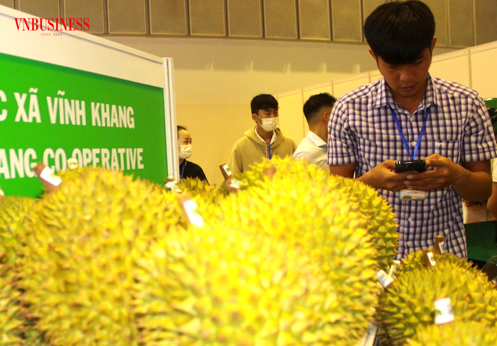 Cần mạnh tay xử lý nạn gian lận mã số vùng trồng để không ảnh hưởng tiêu cực đến các đơn vị làm ăn chân chính khi xuất khẩu sầu riêng sang Trung Quốc.