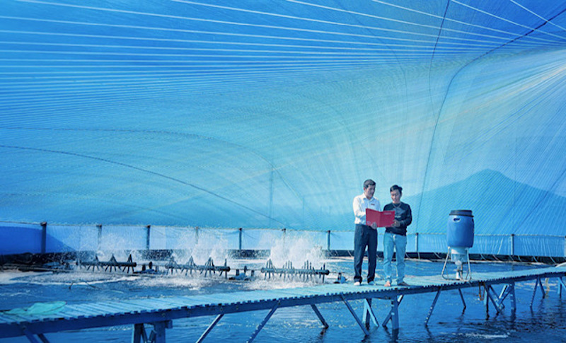 Các dự án được Agribank xem xét cho vay không chỉ trên phương diện tài chính mà còn trên tác động môi trường và xã hội.