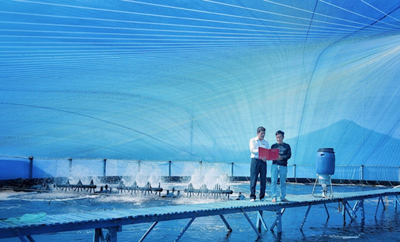 Các dự án được Agribank xem xét cho vay không chỉ trên phương diện tài chính mà còn trên tác động môi trường và xã hội.