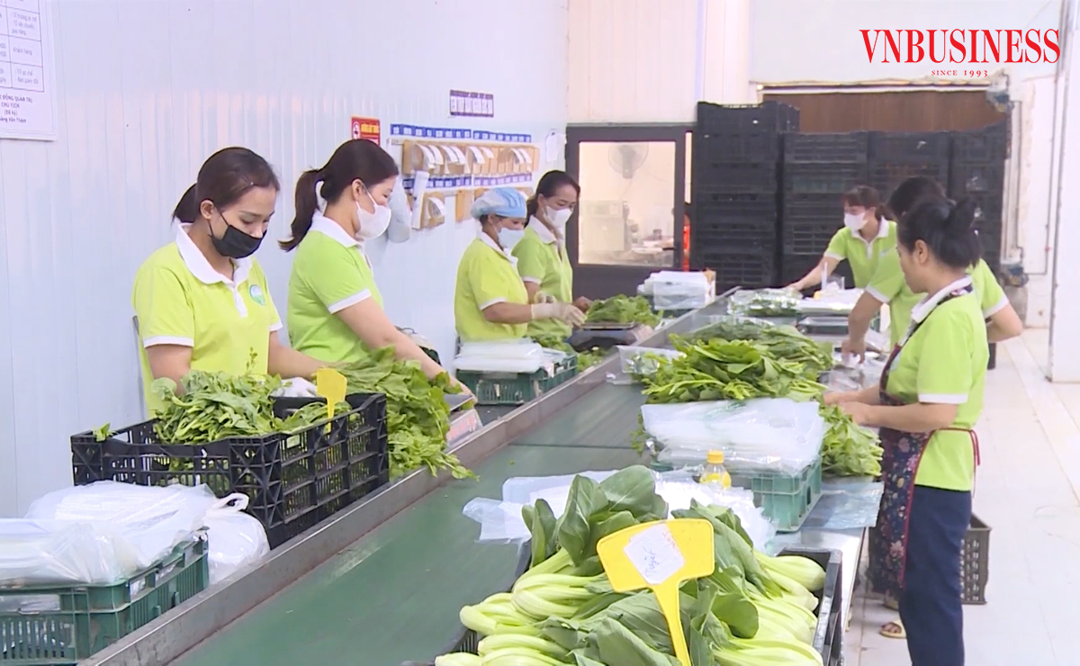 Chuyển đổi số là con đường tất yếu để HTX vươn tầm, nâng cao sức cạnh tranh.