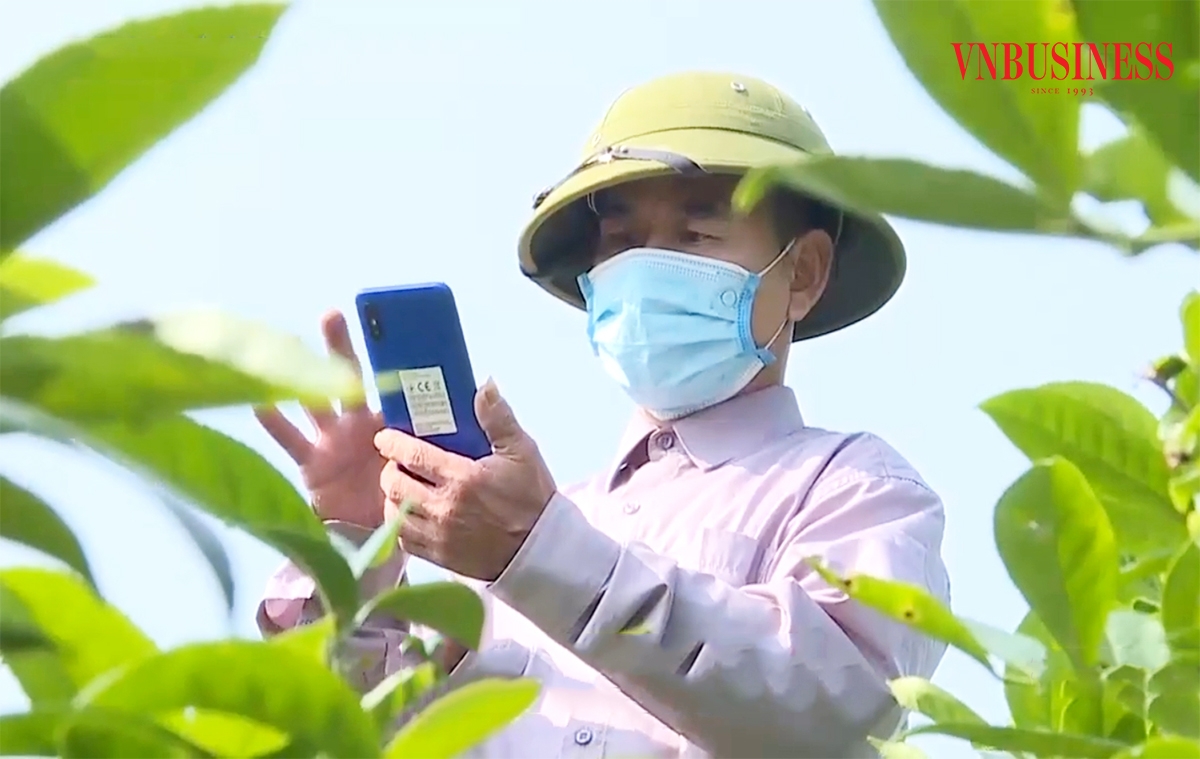 Trên tinh thần của Nghị quyết 57, HTX cần phát huy vai trò hạt nhân chuyển đổi số ở nông thôn.