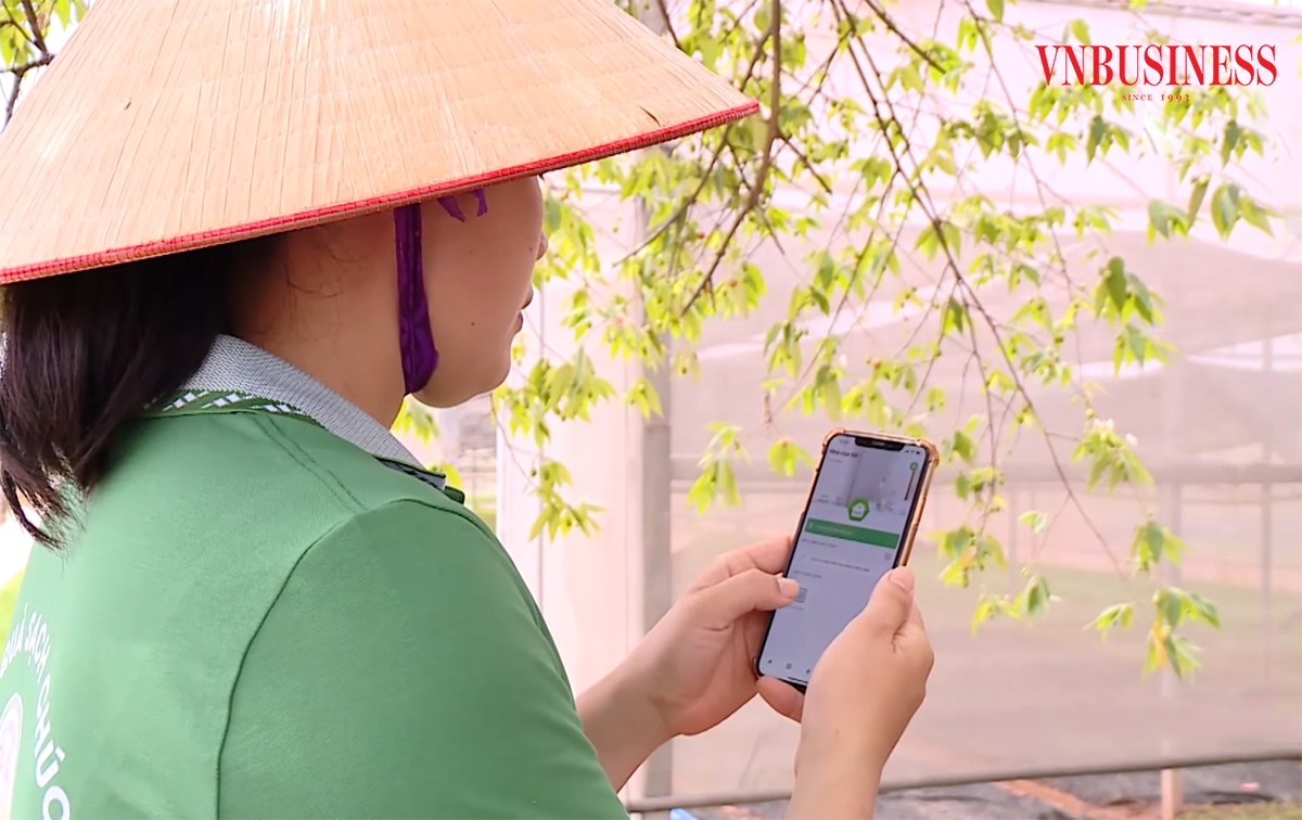 Số hóa là con đường phát triển tất yếu của HTX trong kỷ nguyên mới.