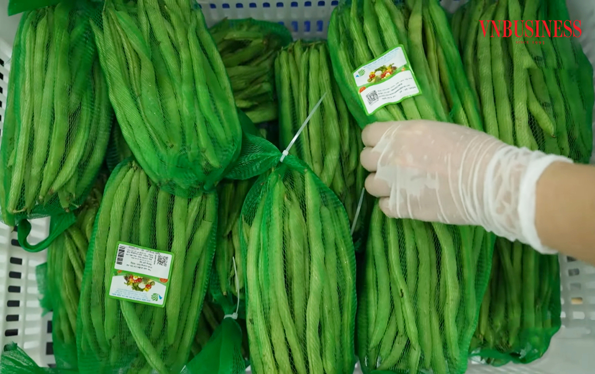 Với số hóa, khách hàng chỉ cần 1 cú chạm thông qua mã QR có thể biết mọi thông tin về sản phẩm của HTX.