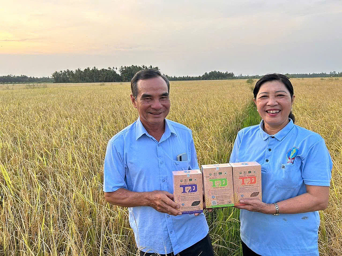 Ông Đoàn Văn Tài được biết đến là giám đốc HTX lớn tuổi nhưng không ngại ứng dụng công nghệ.